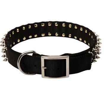 Samoyed Wide Dog Nylon Collar Spiked