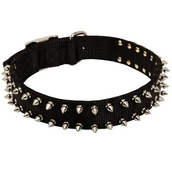 Samoyed Dog Nylon Collar Steel Nickel Plated Spikes