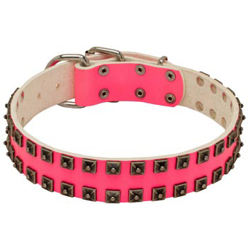 Studded Pink Leather Collar for Samoyed She-Dogs