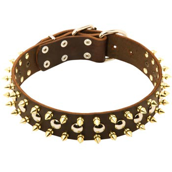 Leather Collar for Samoyed with Solid Fittings