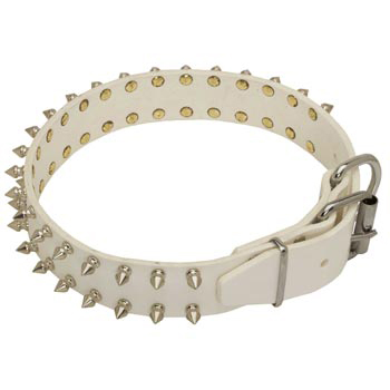 Fashion White Collar for Samoyed