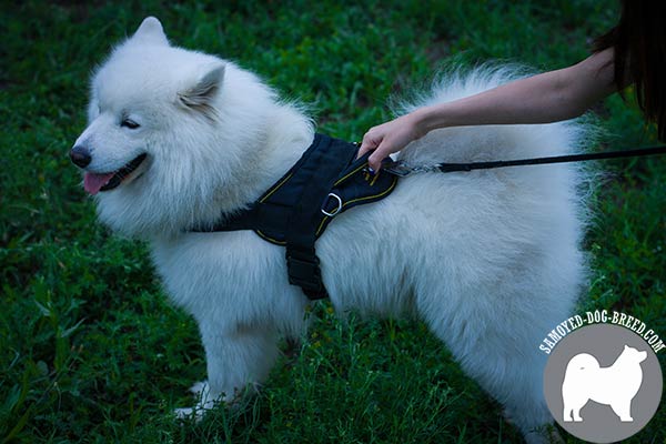 Easy Adjustable Nylon Samoyed Harness