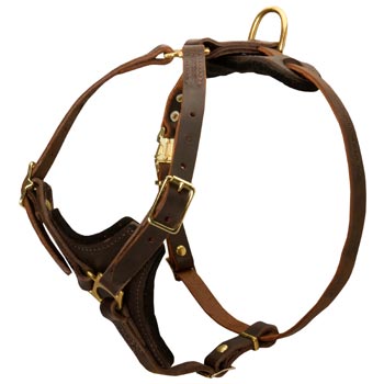 Samoyed Harness Y-Shaped Brown Leather Easy Adjustable for Best Fit