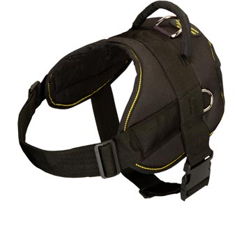 Nylon All Weather Samoyed Harness for Service Dogs