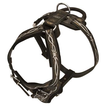 Agitation Training Leather Samoyed Harness