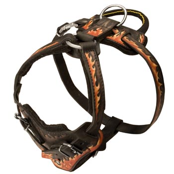 Leather Dog Harness with Handle for Samoyed Training