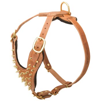Walking Leather Harness for Samoyed