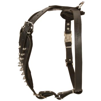 Adjustable Leather Harness for Samoyed
