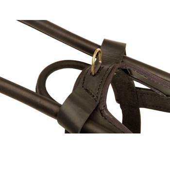Samoyed Leather Guide Harness with ring for lead conncetion