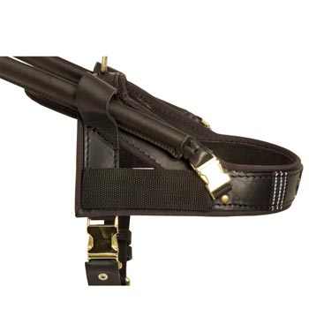 Samoyed Guide Harness Leather for Mobility Assistance