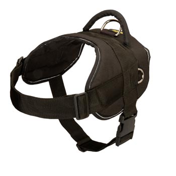 Samoyed Harness Nylon Multifunctional with Control Handle