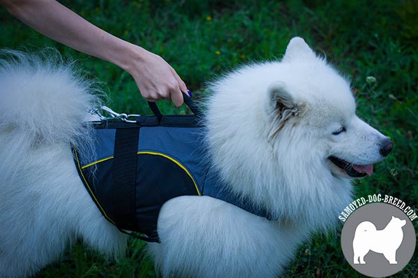Easy Adjustable Nylon Samoyed Coat with Handle