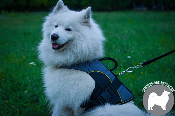 Warm Winter Nylon Samoyed Vest for Rehabilitation