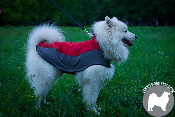 Durable Nylon Samoyed Vest with Velcro Closure for Daily Walking