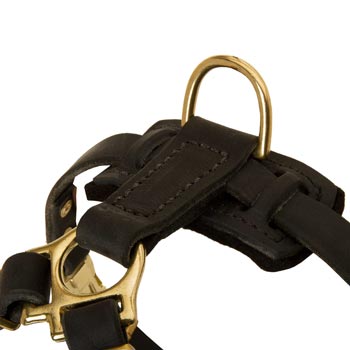 D-ring on Leather Samoyed Harness for Puppy Training