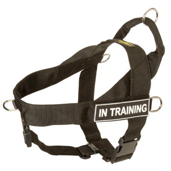 Samoyed Nylon Harness with ID Patches