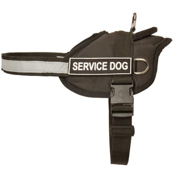 Samoyed Harness Nylon with Reflective Strap