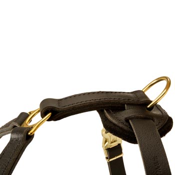 Corrosion Resistant D-ring of Samoyed Harness