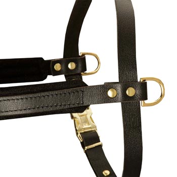 Training Pulling Samoyed Harness with Sewn-In Side D-Rings