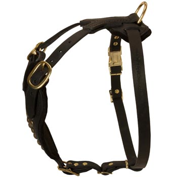 Easy Adjustable Leather Samoyed Harness