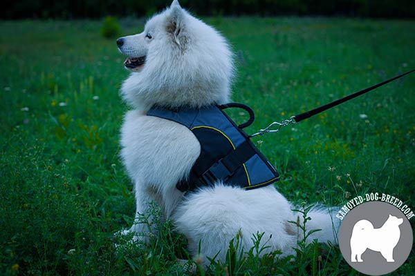 Hand-Made Warm Walking Nylon Samoyed Vest