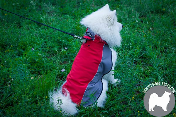 Water Resistant Nylon Samoyed Winter Harness