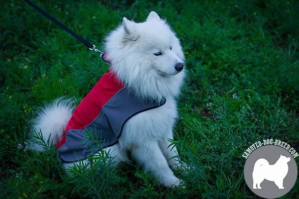 Bright Water Resistant Nylon Samoyed Coat
