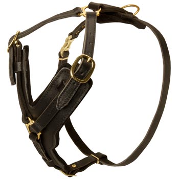 Comfortable Y-Shaped Leather Harness for Samoyed Attack  Training