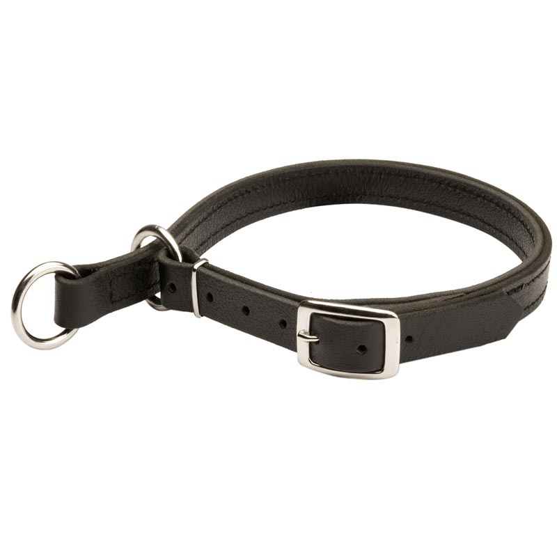 Samoyed Leather Choke Collar