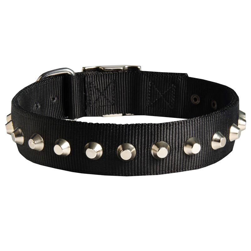 Exclusive Nylon Samoyed Collar with Awesome Nickel Cones