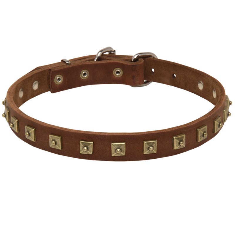 Handcrafted 1 Row Square Studded Leather Samoyed Collar