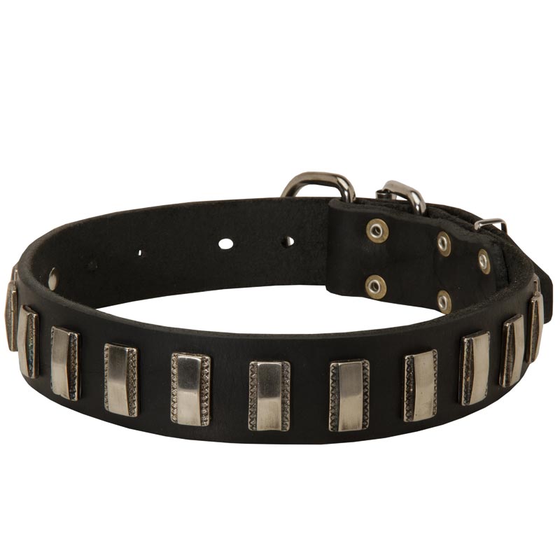 Samoyed Leather Collar with Shiny Plates