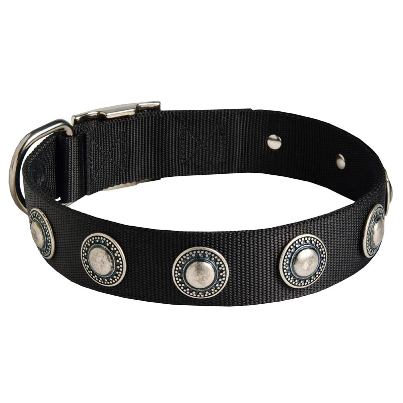Samoyed Nylon Dog Collar with Circles Decoration