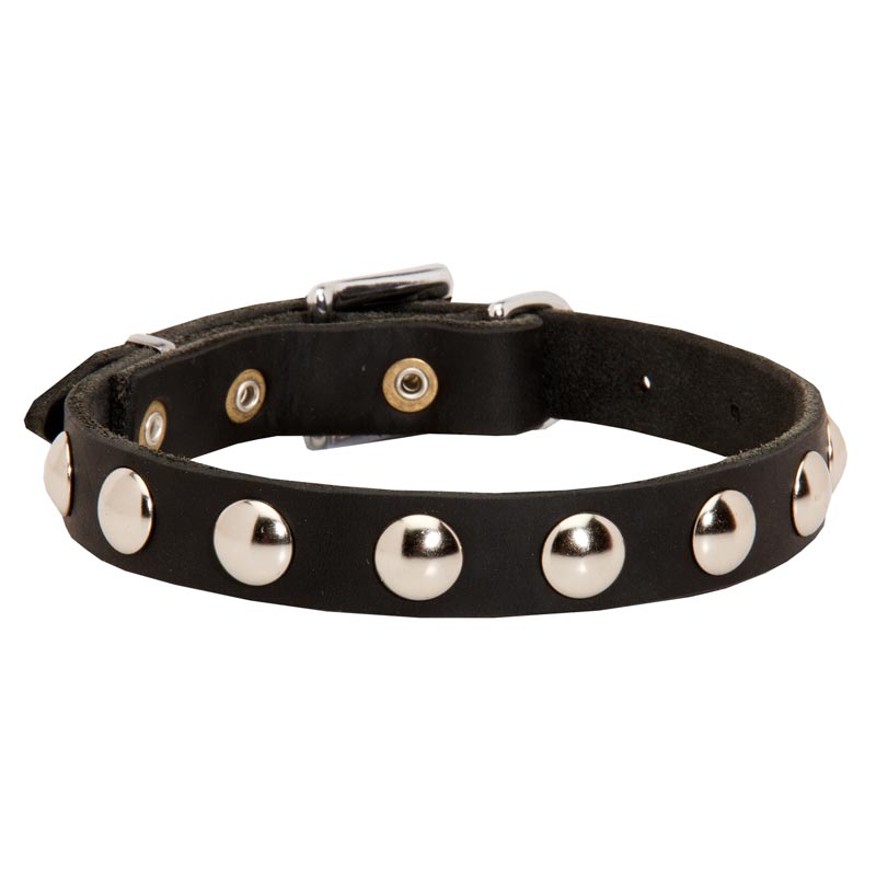 Beautiful Leather Samoyed Collar Decorated with Half-Ball Studs