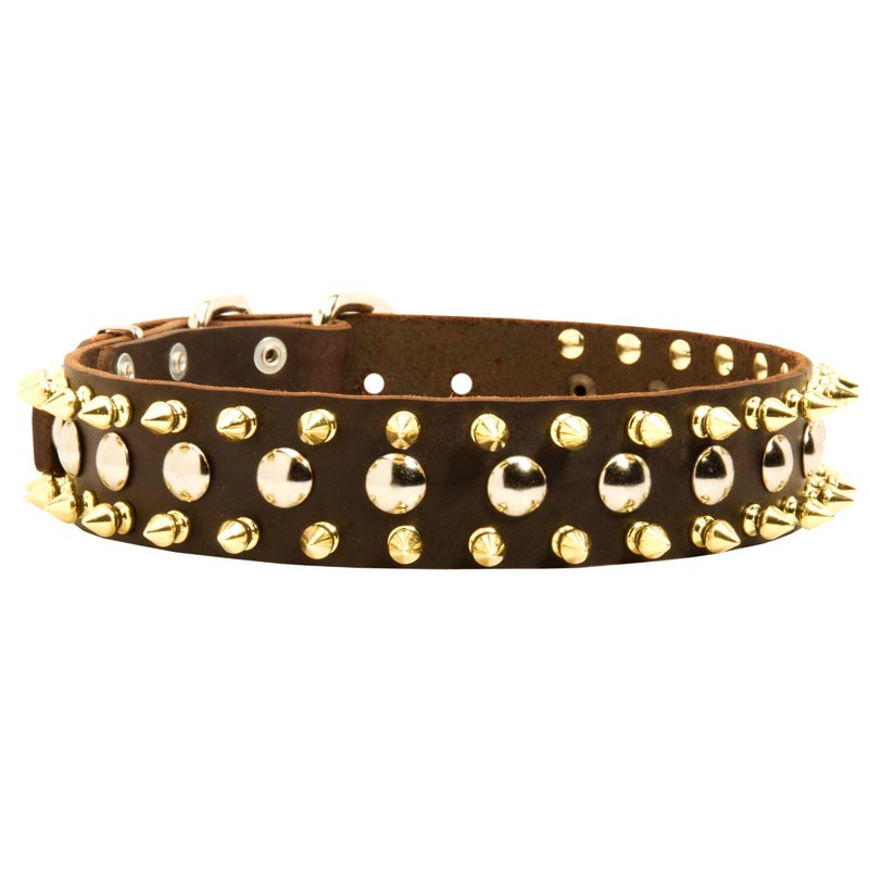 Spiked and Studded Samoyed Leather Collar