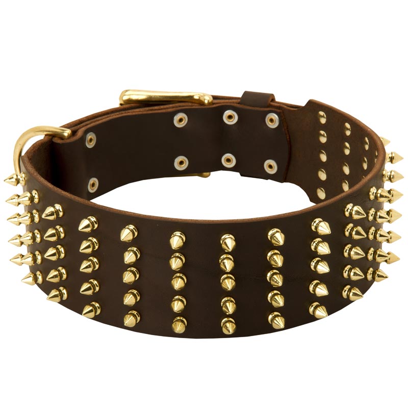Wide Spiked Leather Samoyed Collar