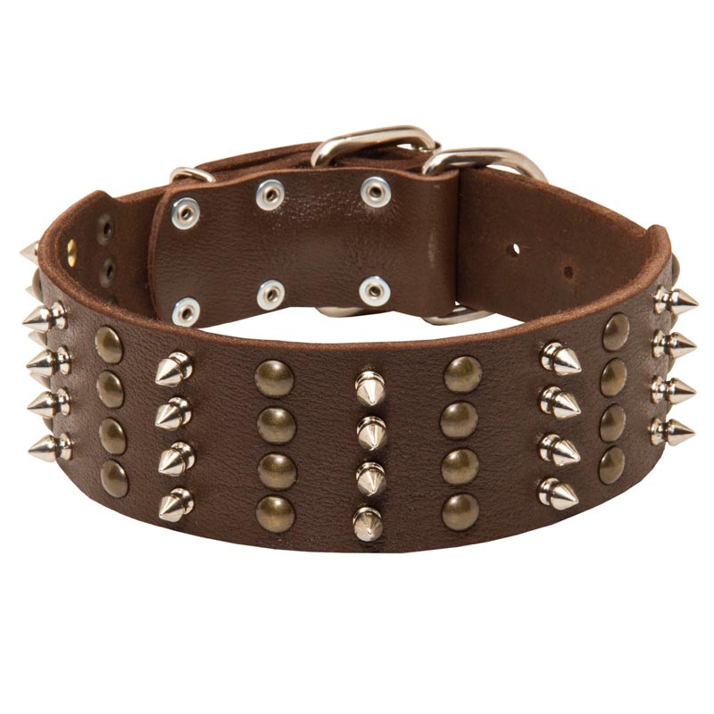 Extra Wide Leather Spiked and Studded Samoyed Collar [S92