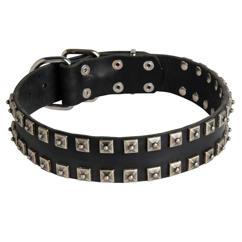New Leather Samoyed Collar - Fashion Exclusive Design - "Caterpillar"