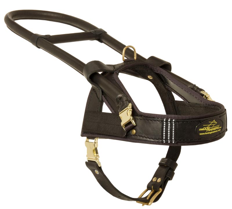 Guide and Assistance Leather Samoyed Harness