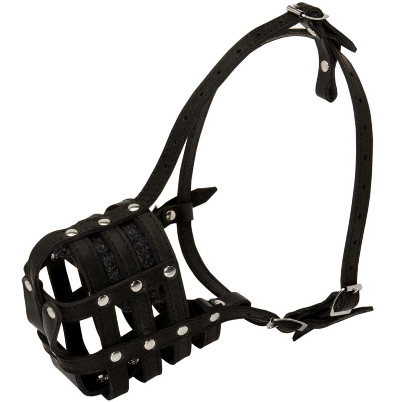 Walking and Training Leather Cage Samoyed Muzzle