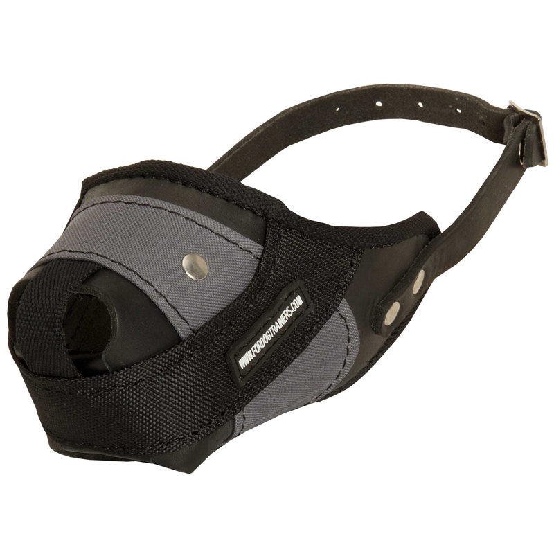 Protection Training Samoyed Muzzle Made of Nylon and Leather