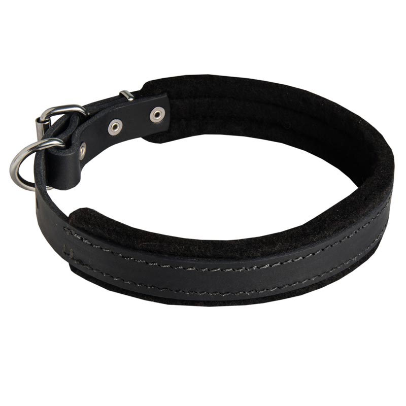 Padded Leather Samoyed Collar 25 mm for Dog Training