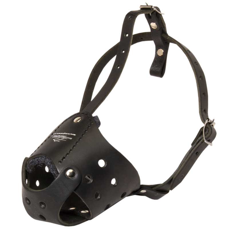 Everyday Leather Samoyed Muzzle for Training