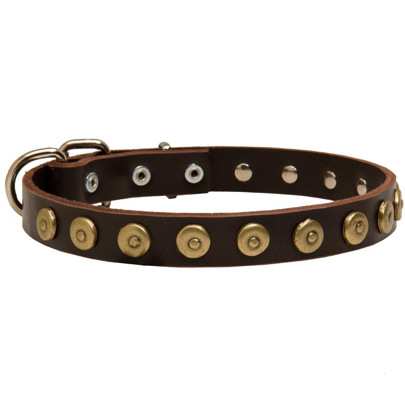 Leather Samoyed Collar with Brass Dotted Circles for Fashion Walking