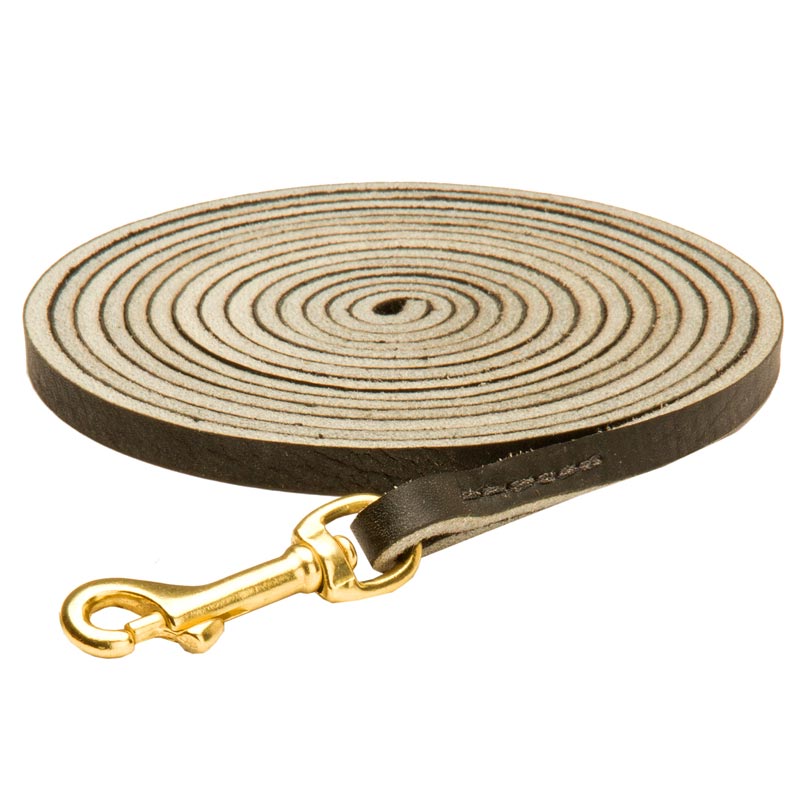 Long Leather Samoyed Leash for Tracking, Training and Walking