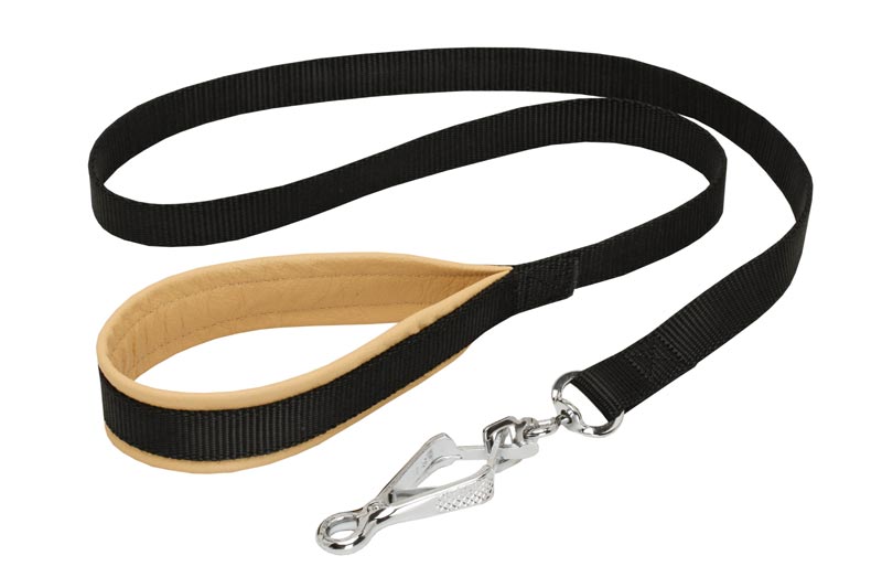 Nylon Samoyed Leash with Support Material on the Handle for Walking and Training