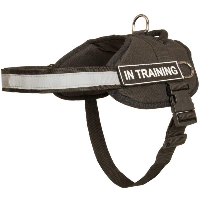 Nylon Samoyed Harness with Reflective Strap for Training, Walking, Police Service, SAR and More