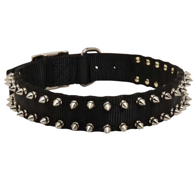 Samoyed Nylon Collar Spiked