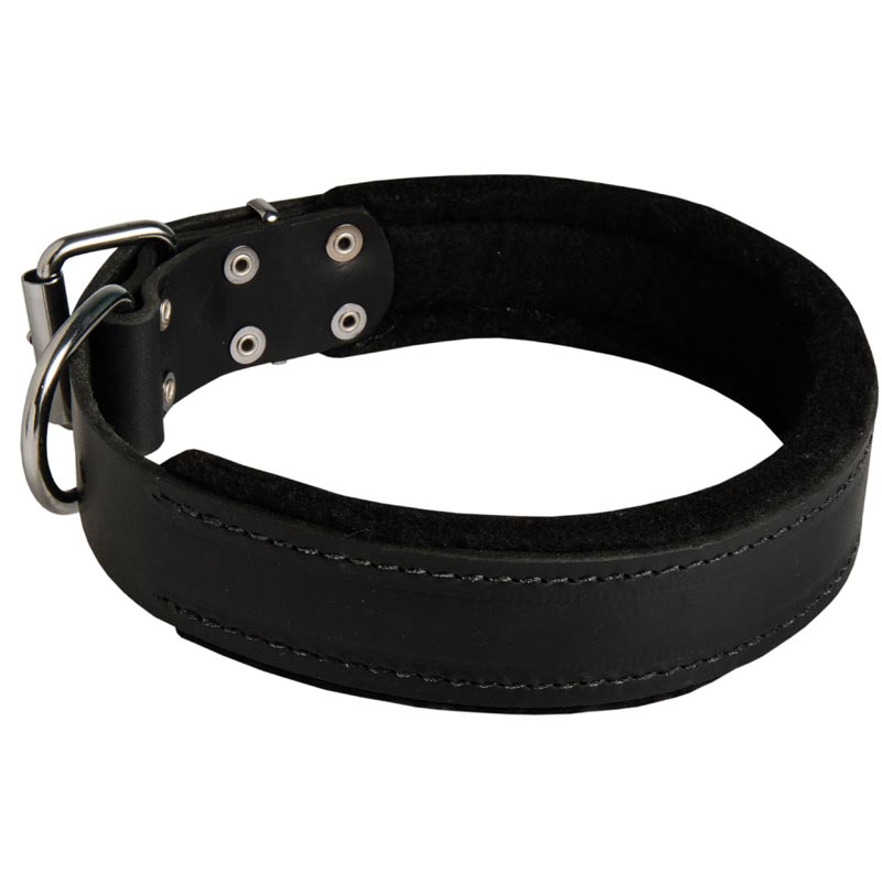 Samoyed Durable Padded Leather Collar 40 mm