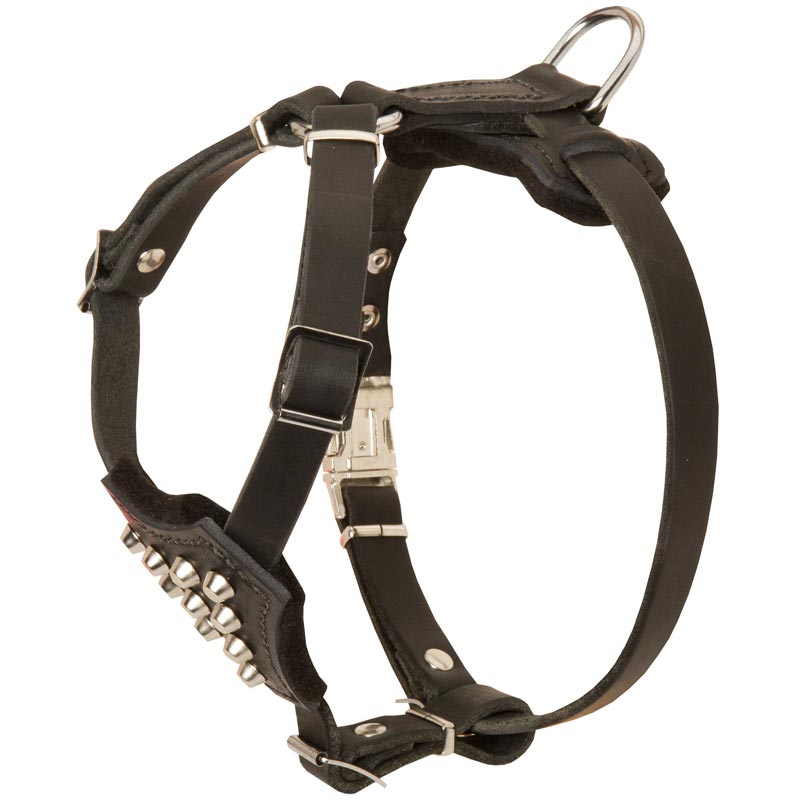 Studded Leather Samoyed Puppy Harness [H241115 Leather puppy harness